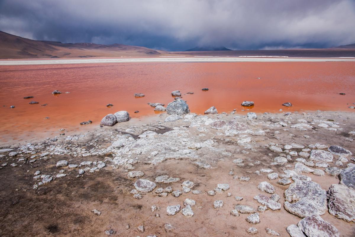 annuaire photographes suisse romande, Laguna Colorada, Lipez, Bolivie - http://www.pierik.ch - Pierik de Neuchâtel