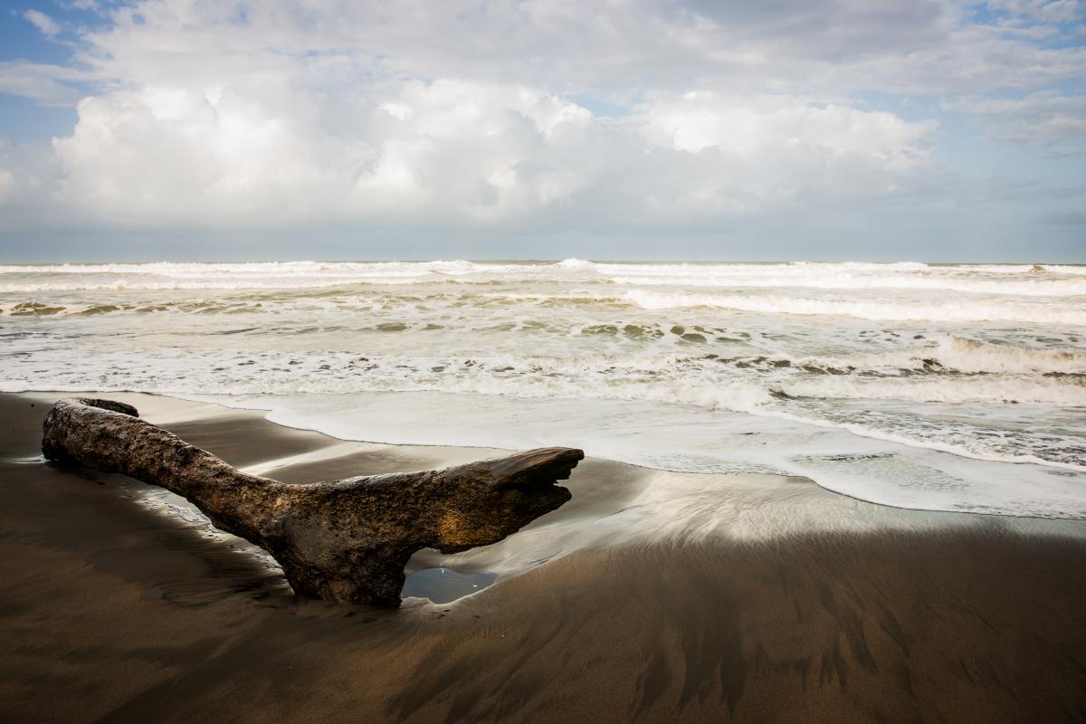 annuaire photographes suisse romande, Tortuguero, Costa Rica - http://www.pierik.ch - Pierik de Neuchâtel