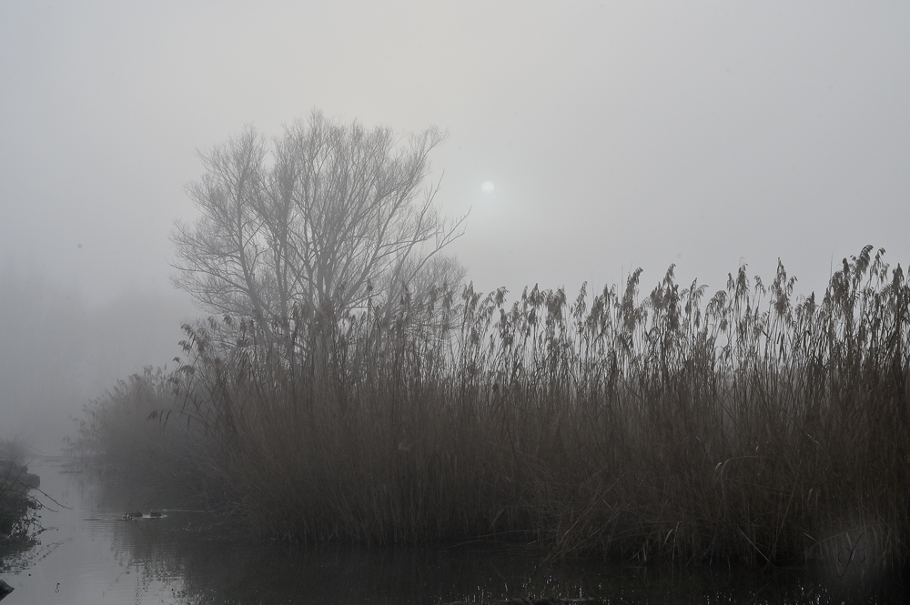 annuaire photographes suisse romande,  - http://www.gerald-huguenin.ch/Photo/ - ghuguenin de Delley-Portalban