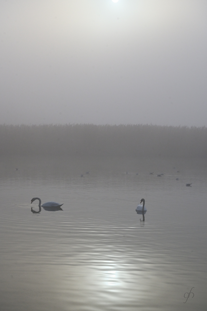 annuaire photographes suisse romande,  - http://www.gerald-huguenin.ch/Photo/ - ghuguenin de Delley-Portalban