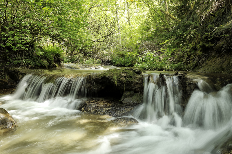 annuaire photographes suisse romande, Fraicheur - http://www.2point8.ch - 2point8 de Bercher