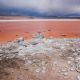 Laguna Colorada, Lipez, Bolivie - pierik de Neuchâtel. Annuaire photographe