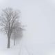  - ghuguenin de Delley-Portalban. Annuaire photographe
