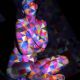 Projections avec Mélanie - daniel de Gland. Annuaire photographe