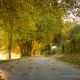 Route perdue sous le soleil d'automne - andrecomte de Porrentruy. Annuaire photographe