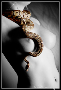 Femme nue avec un Python Regius par Pourlesyeux de www.pourlesyeux.ch