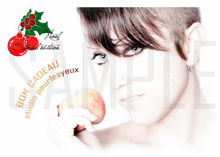 Bon cadeau Noël 2012 par Pourlesyeux de www.pourlesyeux.ch