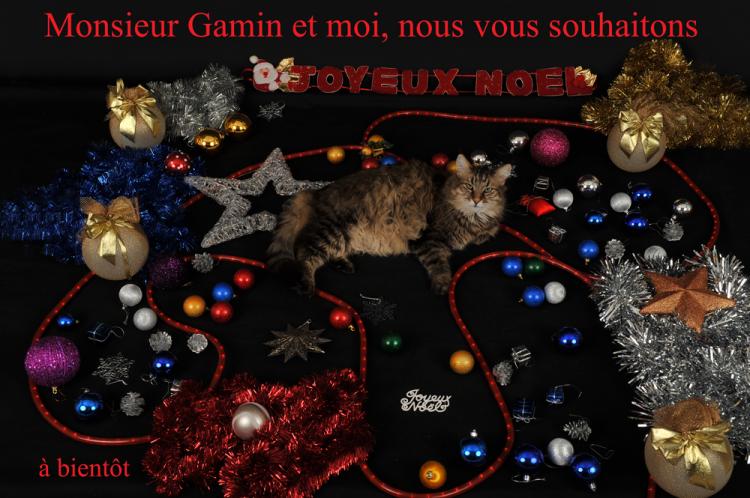 Monsieur Gamin vous souhaite un Joyeux Noël par by Bertrand de http://www.bybertrand.com