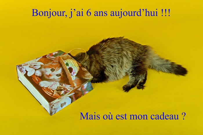 Joyeux Anniversaire Monsieur Gamin par by Bertrand de http://www.bybertrand.com